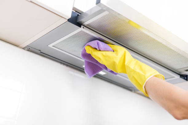 Best Air Duct Mold Removal  in Morenci, MI